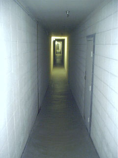 Bowels of the Mall